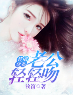 小说：替身甜妻：老公轻轻吻，作者：乌月星