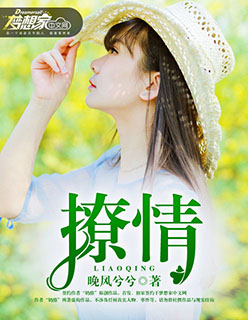 小说：撩情，作者：晚风兮兮