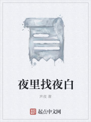 小说：夜里找夜白，作者：声夜