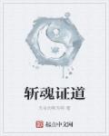 小说：斩魂证道，作者：无名的斯为特