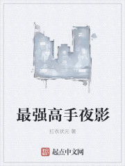 小说：最强高手夜影，作者：红衣状元