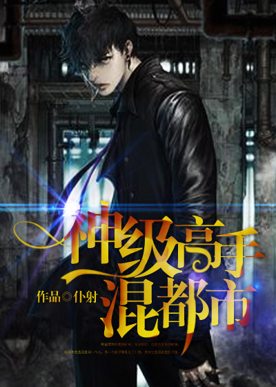 小说：神级高手混都市，作者：仆射