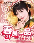 小说：妻居一品，作者：夜惠美