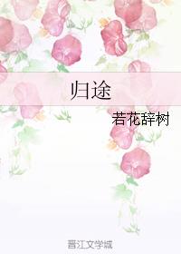 小说：归途，作者：若花辞树