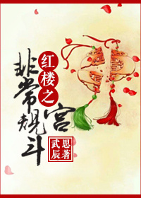 小说：红楼之非常规宫斗，作者：武思辰