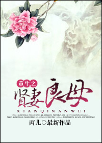 小说：重生之贤妻良母，作者：丙儿