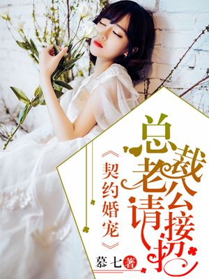 小说：契约婚宠：总裁老公请接招，作者：慕七