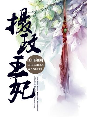 小说：摄政王妃，作者：江山如画