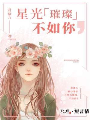 小说：星光璀璨不如你，作者：君慕九