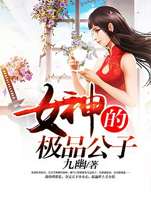 小说：女神的极品公子，作者：九幽