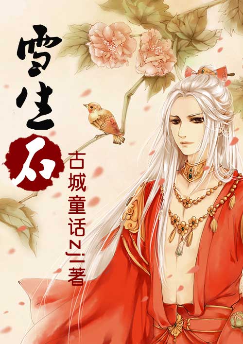 小说：雪生石，作者：古城童话zjl