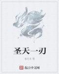 小说：圣天一刃，作者：易无念