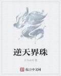 小说：逆天界珠，作者：只为共鸣