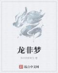 小说：龙非梦，作者：伟大的安徒生
