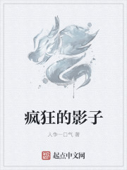 小说：疯狂的影子，作者：人争一口气