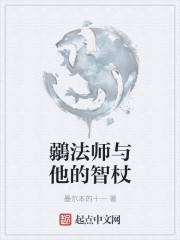 小说：鶸法师与他的智杖，作者：墨尔本的十一