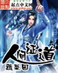 小说：人间证道，作者：蔬菜园