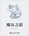 小说：魔女之道，作者：奇怪的人啊