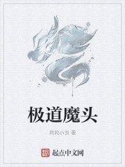 小说：极道魔头，作者：纯纯小虫