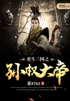 小说：重生三国之孙权大帝，作者：菜8765