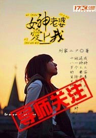小说：女神老婆爱上我，作者：刘家二少