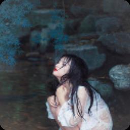 小说：情浓不语负海棠，作者：白宇辰