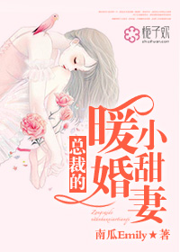 小说：总裁的暖婚小甜妻，作者：南瓜Emily