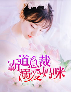 小说：霸道总裁溺爱妈咪，作者：天晴
