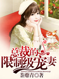 小说：总裁的限制级宠妻，作者：荼蘼青