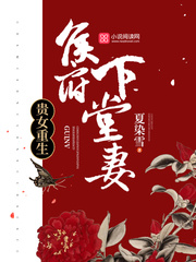 小说：贵女重生：侯府下堂妻，作者：夏染雪