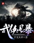 小说：武侠风暴，作者：宇文天卓