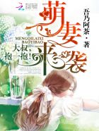 小说：萌妻来袭：大叔，抱一抱，作者：吾乃阿荼