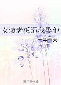 小说：女装老板逼我娶他，作者：一年春天