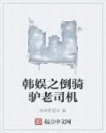 小说：韩娱之倒骑驴老司机，作者：倒骑驴骚年
