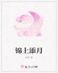 小说：锦上添月，作者：梓初