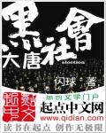 小说：大唐黑社会，作者：闪球