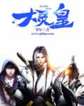 小说：大灵皇，作者：罪年