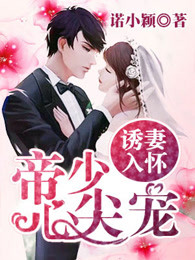 小说：冷先生的甜婚指南，作者：诺小颖