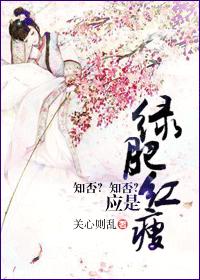 小说：知否知否应是绿肥红瘦，作者：关心则乱