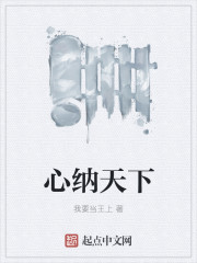 小说：心纳天下，作者：我要当王上