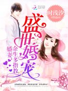 小说：盛世婚宠：娇妻，余生多指教，作者：时浅汐