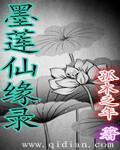 小说：墨莲仙缘录，作者：孤木乏年