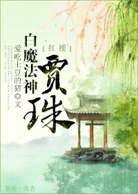 小说：红楼之白魔法神贾珠，作者：爱吃土豆的猪