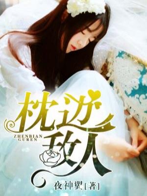 小说：枕边敌人，作者：夜神翼