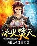 小说：冰火焚天，作者：我比风自由