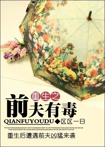 小说：重生之前夫有毒，作者：区区一日