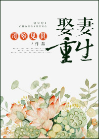 小说：娶妻重生，作者：司箜见贯