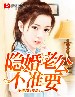 小说：隐婚老公不准要，作者：许墨城