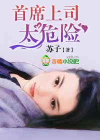 小说：首席上司，太危险，作者：苏子