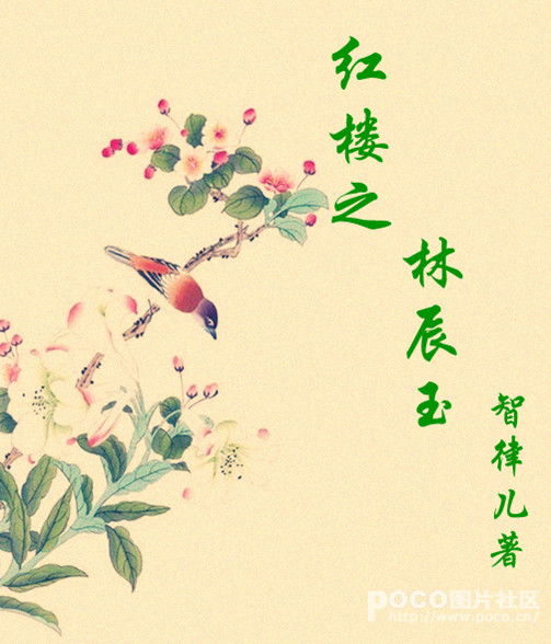 小说：随身空间红楼之林辰玉，作者：智律儿